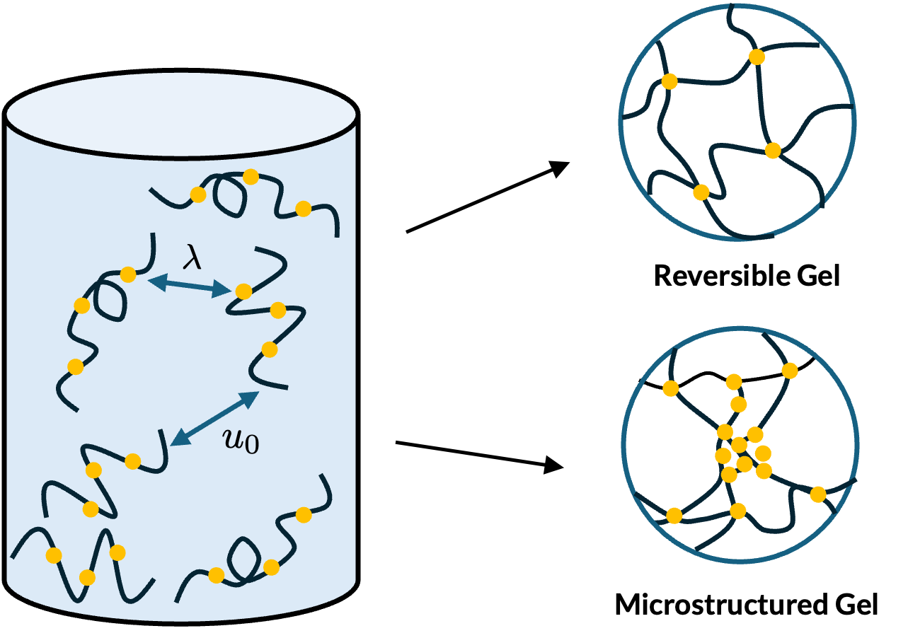 Gel Schematic