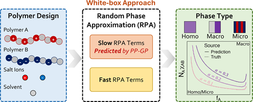 White-Box Surrogate Model for Polymer Phase Behavior